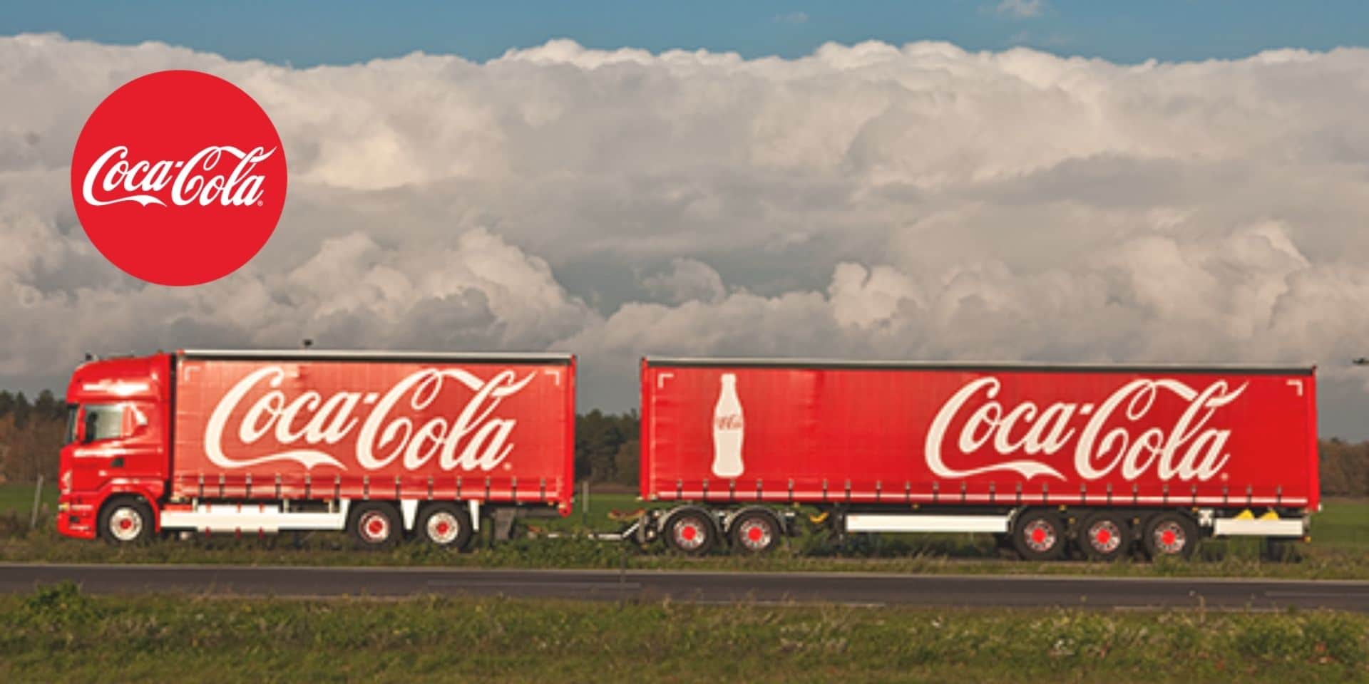 CRM案例_Coca-Cola