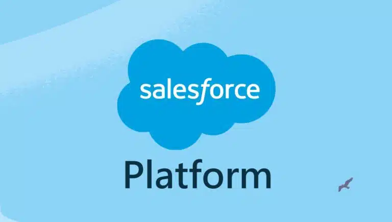 salesforce platform